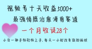 十天收益5000+,多平台捞金,视频号情感治愈漫剪,一个月收徒28个,小白一部手机轻松上手【揭秘】-聚富社