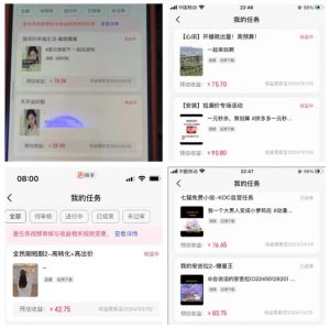 2024年3月最新,快手磁力聚星全流程实操教学,8台手机日均收益稳定100~200元【揭秘】-聚富社