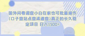 国外问卷调查小白在家也可批量操作(口子查站点查渠道查)真正的长久稳定项目 日入1500+【揭秘】-聚富社