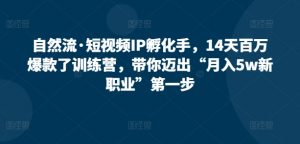 自然流·短视频IP孵化手,14天百万爆款了训练营,带你迈出“月入5w新职业”第一步-聚富社