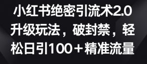 小红书绝密引流术2.0升级玩法,破封禁,轻松日引100+精准流量【揭秘】-聚富社