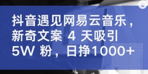 抖音遇见网易云音乐，新奇文案 4 天吸引 5W 粉，日挣1000+【揭秘】-聚富社