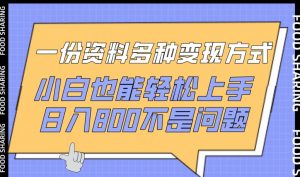 一份资料多种变现方式,小白也能轻松上手,日入800不是问题【揭秘】-聚富社