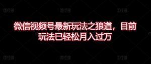 微信视频号最新玩法之狼道,目前玩法已轻松月入过万【揭秘】-聚富社