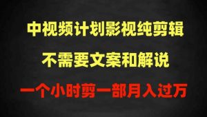 中视频计划影视纯剪辑,不需要文案和解说,一个小时剪一部,100%过原创月入过万【揭秘】-聚富社