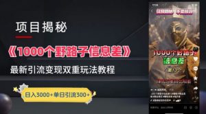 一千个野路子信息差最新玩法教程-变现+引流的玩法具体拆解【揭秘】-聚富社