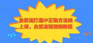 自然流打造IP正确方法线上课,自然流短视频教程-聚富社