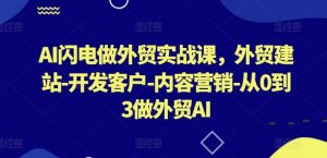 AI闪电做外贸实战课,外贸建站-开发客户-内容营销-从0到3做外贸AI-聚富社