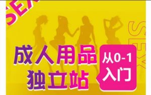 成人用品独立站从0-1入门,成品独立站运营全流程教学,七大好卖成品独立站推荐-聚富社