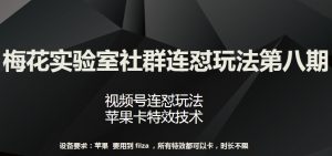 梅花实验室社群连怼玩法第八期,视频号连怼玩法 苹果卡特效技术【揭秘】-聚富社
