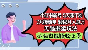 小红书影视泥巴追剧5天涨千粉,7天接商单,轻松月入过万,无脑搬运玩法【揭秘】-聚富社