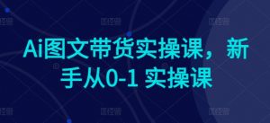 Ai图文带货实操课,新手从0-1 实操课-聚富社