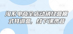 淘系电商全店动销经营模式特训营,线下课录音-聚富社