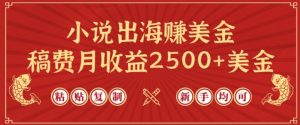 小说出海赚美金,稿费月收益2500+美金,仅需chatgpt粘贴复制,新手也能玩转【揭秘】-聚富社