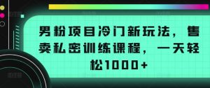 男粉项目冷门新玩法,售卖私密训练课程,一天轻松1000+【揭秘】-聚富社