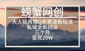 大人玩具情Q用品赛道私域全新玩法,三个月变现20W,老项目新思路【揭秘】-聚富社