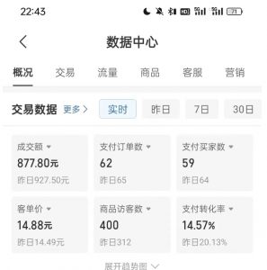 拼多多虚拟U盘电商红利项目:月赚2万+,新手小白也能玩-聚富社