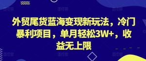 外贸尾货蓝海变现新玩法,冷门暴利项目,单月轻松3W+,收益无上限【揭秘】-聚富社