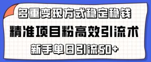 精准项目粉高效引流术,新手单日引流50+,多重变现方式稳定赚钱【揭秘】-聚富社