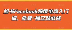 脸书Facebook跨境电商入门课,外贸·独立站必修-聚富社