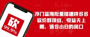 冷门蓝海批量搭建拼多多砍价群项目,收益无上限,适合小白的风口【揭秘】-聚富社