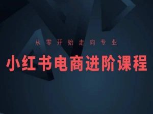从零开始走向专业,小红书电商进阶课程-聚富社
