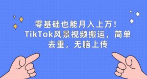零基础也能月入上w,TikTok风景视频搬运,简单去重,无脑上传【揭秘】-聚富社
