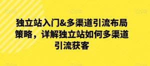 独立站入门&多渠道引流布局策略,详解独立站如何多渠道引流获客-聚富社