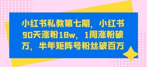 小红书私教第七期,小红书90天涨粉18w,1周涨粉破万,半年矩阵号粉丝破百万-聚富社