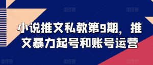 小说推文私教第9期,推文暴力起号和账号运营-聚富社