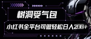 小红书等全平台树洞受气包项目,轻松日入一两张【揭秘】-聚富社