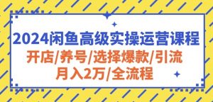 2024闲鱼高级实操运营课程:开店/养号/选择爆款/引流/月入2万/全流程-聚富社
