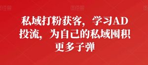 私域打粉获客,学习AD投流,为自己的私域囤积更多子弹-聚富社
