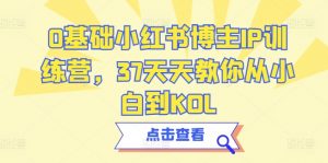 0基础小红书博主IP训练营,37天天教你从小白到KOL-聚富社