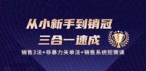 从小新手到销冠 三合一速成:销售3法+非暴力关单法+销售系统挖需课 (27节)-聚富社