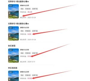磁力聚星游戏副业陪跑训练营1.0,长期稳定项目,有人一周干了1K+-聚富社