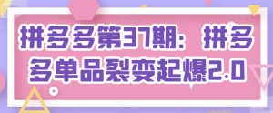 拼多多第37期:拼多多单品裂变起爆2.0-聚富社