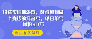 抖音实训训练营,教你如何做一个赚钱的抖音号,单日单号增粉30万-聚富社