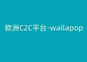 欧洲C2C平台-wallapop-kim跨境电商教程-聚富社