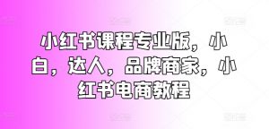 小红书课程专业版,小白,达人,品牌商家,小红书电商教程-聚富社