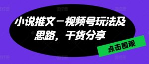 小说推文—视频号玩法及思路,干货分享-聚富社