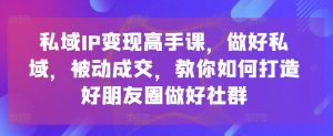 私域IP变现高手课,做好私域,被动成交,教你如何打造好朋友圈做好社群-聚富社