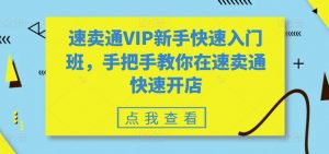 速卖通VIP新手快速入门班,手把手教你在速卖通快速开店-聚富社