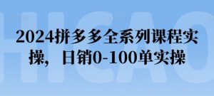 2024拼多多全系列课程实操,日销0-100单实操【必看】-聚富社