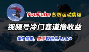 视频号冷门赛道撸收益,YouTube搬运极限运动集锦,暴力起号,操作简单流量高,轻松日入5张【揭秘】-聚富社