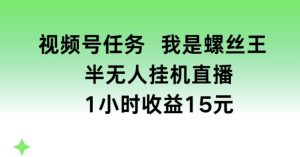 视频号任务,我是螺丝王, 半无人挂机1小时收益15元【揭秘】-聚富社