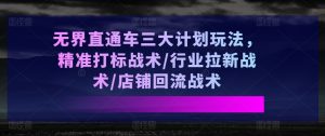 无界直通车三大计划玩法,精准打标战术/行业拉新战术/店铺回流战术-聚富社
