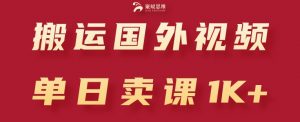 搬运国外视频,引流创业粉,单日卖课1K+【揭秘】-聚富社