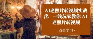 AI老照片转视频实战营,一线玩家教你AI老照片转视频-聚富社