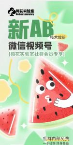梅花实验室2024年AB技术视频号AB合成破解版-聚富社